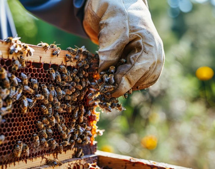 beekeeper-working-bee-farm